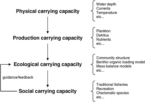FIGURE 5.1 Types of carrying capacities identified in the literature for marine areas with methods used for their determination. In this model, social carrying capacity is used in an iterative manner to determine best methods for determining ecological carrying capacity (adapted from McKindsey et al., 2006b; with permission from Elsevier).