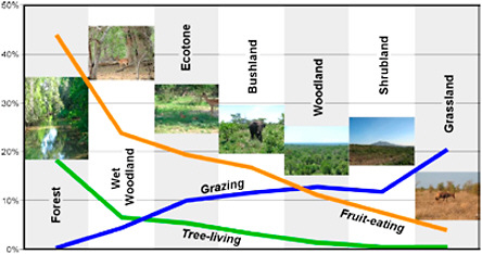 FIGURE 2.6 Variation in the ratio of adaptations (food types and habitats) in modern mammal communities for different ecosystems in game reserves and parks in Africa. SOURCE: Courtesy of Kaye E. Reed.