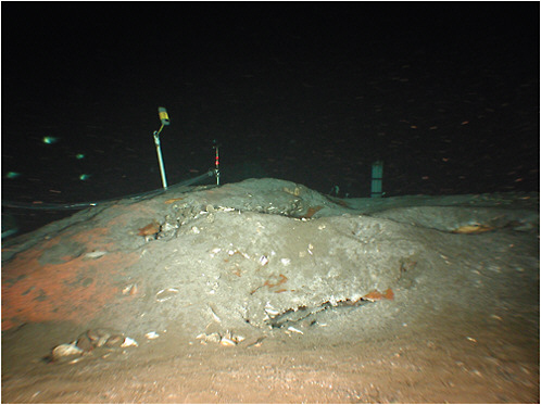 FIGURE 3.6 Gulf of Mexico methane hydrate deposit on the seafloor. A remotely operated vehicle was used to take photographs over a 350-day time series to document methane hydrate occurrences and the drivers for their stability, including bottom water temperatures and the water temperature profile. SOURCE: MacDonald (2009).