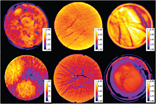 FIGURE 3.4 Computed tomography x-ray core images showing significant heterogeneity in hydrate-bearing sediment cores synthesized in the laboratory (bottom left), and in recovered natural cores from the ocean floor (top left), Mt. Elbert well (middle), and the Indian National Gas Hydrage Program expedition (far right). The color scales for all natural cores represent the bulk density distribution (in grams per cubic centimeter), and for the synthetic hydrate core the color scale represents methane hydrate saturation (%). SOURCE: Kneafsey (2009).