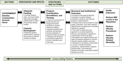 FIGURE 6-2 Evaluation framework for government efforts to support capacity development for preventing childhood obesity.