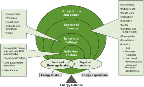FIGURE 1-5 Comprehensive approach for preventing and addressing childhood obesity.