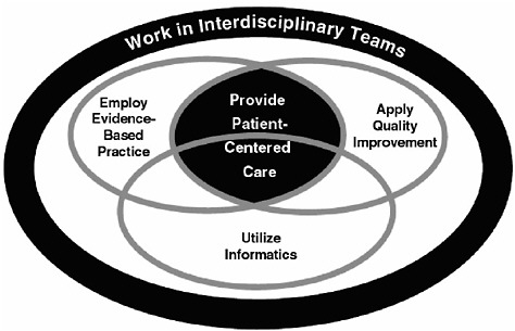 FIGURE 5-1 Relationship among core competencies for health professionals.