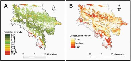 FIGURE 2.5 (A) Predicted tree species diversity and (B) suggested areas of conservation priority for the state of Chiapas, Mexico, based on combination and modeling of vegetation data, environmental data, human population and land-use data, and remote sensing imagery. Even in a highly fragmented and mountainous landscape, this research demonstrates the usefulness of integrated and spatially explicit approaches to documenting biodiversity and developing conservation strategies. SOURCE: Cayuela et al. (2006).