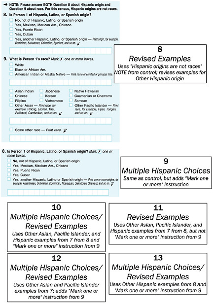 Figure B-4 2010 Alternative Questionnaire Experiment, variations on Hispanic question and hybrid approaches