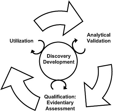 FIGURE 3-1 The steps of the evaluation framework are interdependent. While a validated test is required before qualification and utilization can be completed, biomarker uses inform test development, and the evidence suggests possible biomarker uses. In addition, the circle in the center signifies ongoing processes that should continually inform each step in the biomarker evaluation process.