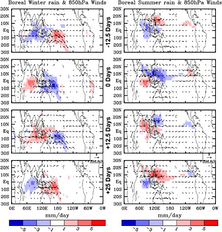 FIGURE 4.4 Characteristic circulation and precipitation patterns associated with an MJO event. Anomalous winds at 850 hPa (vectors) and precipitation anomalies (red: wet anomaly; blue: dry anomaly) are shown for the periods prior (top panels, 12.5 days preceding the event), during (second from top panels), and after an event (bottom two panels, 12.5 and 25 days following the event). Left panels show an event in the boreal winter (November–April); right panels are for the boreal summer (May–October). SOURCE: Waliser (2006).