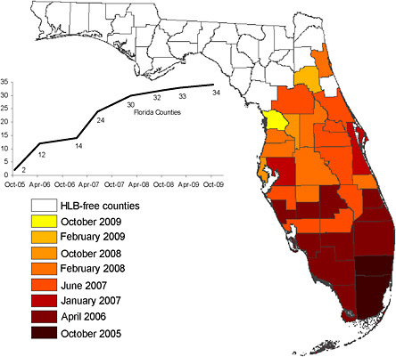 FIGURE 2-5 Distribution of HLB in Florida from October 2005 to October 2009.