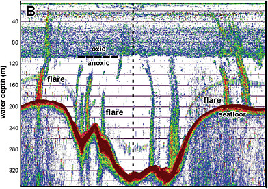 FIGURE C.3 Acoustic signatures of methane plumes rising from the floor of the Black Sea offshore from the Crimean peninsula. SOURCE: McGinnis et al. (2006). Copyright 2006 American Geophysical Union. Reproduced by permission of the American Geophysical Union.