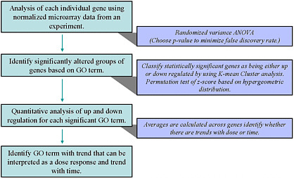 FIGURE 11 Framework for interpretation of dose- and time-dependent genomic data. Source: Yu et al. 2006. Reprinted with permission; copyright 2006, Toxicological Sciences. E. Faustman, University of Washington, presented at the symposium.
