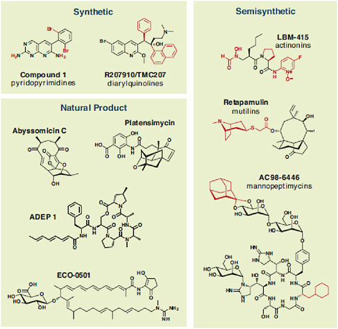 FIGURE A6-5 The chemical structures of new and underexplored antibiotic scaffolds mentioned throughout the text are organized by type into three categories: synthetic, semisynthetic, and natural product. For synthetic and semisynthetic scaffolds, core scaffolds are shown in black and variable positions are shown in red.