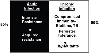 FIGURE A11-4 The two faces of recalcitrance. Drug resistance plays an important role in recalcitrance of acute infections, while drug tolerance is largely responsible for failures of chemotherapy in chronic infections. TB, tuberculosis.