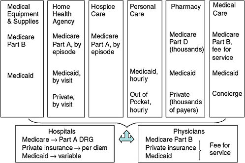FIGURE 12-2 Home care silos and payment sources.
