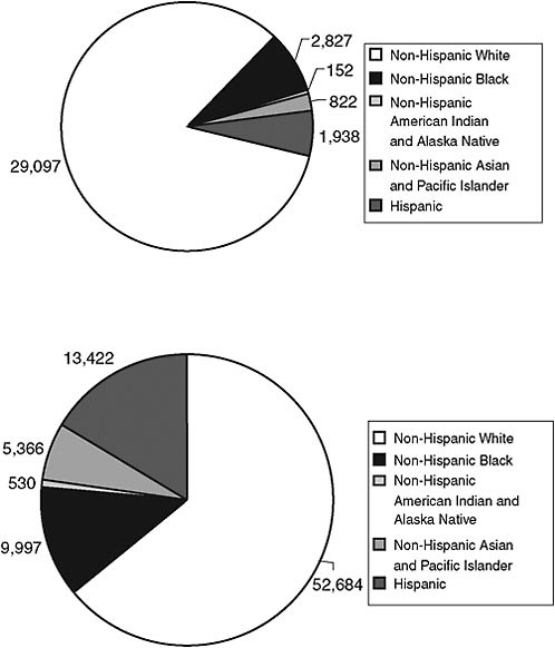 FIGURE 6-8 Ethnic composition of the U.S. population ages 65+ in 2000 and projections for 2050.
