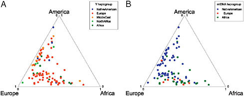 FIGURE 8.6 Comparison of mtDNA and Y chromosome haplotypes. Each individual is represented by a point within the triangle that represents the autosomal ancestry proportions. The most probable continental location for each individual’s haplotype is designated by the shade of the point. The Y chromosome contains a disproportionate number of European haplotypes, whereas the mtDNA has a high proportion of Native American, slightly more African haplotypes, and fewer European haplotypes, consistent with a sex bias toward a great European male and Native American/African female ancestry in the Hispanic/Latinos.
