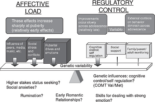 FIGURE 3-3 Balance between affective load and sources of regulatory control.