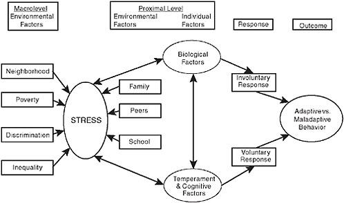 FIGURE 2-1 A model of risk and protection in adolescence.