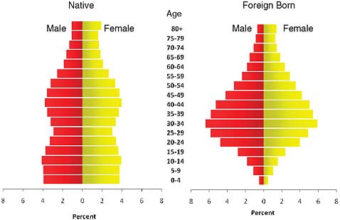 FIGURE 2-3 Age structure for the U.S. native- and foreign-born populations.