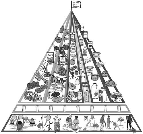 FIGURE 5-2 A modified MyPyramid for adults more than 70 years of age.