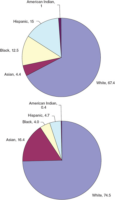 FIGURE 1-1 U.S. population and U. S. science and engineering workforce, by race/ethnicity, 2006.