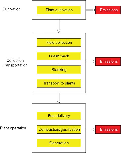 FIGURE C-1 Process flow-diagram of biomass combustion for electricity.