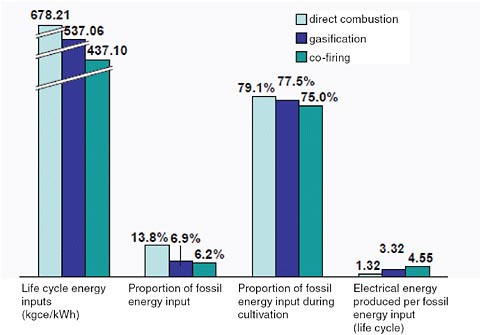 FIGURE C-4 Relative efficiencies for direct-combustion, gasification, and biomass co-firing power plants.
