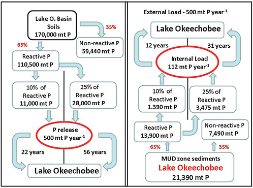 FIGURE 5-2 Role of legacy phosphorus in Lake Okeechobee and its basin in determining the lag time for recovery.