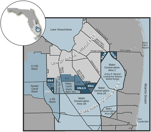 FIGURE 5-6 Location of the six Everglades stormwater treatment areas (STAs): STA-1E, STA-1W, STA-2, STA-3/4, STA-5, and STA-6).