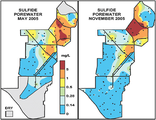 FIGURE 5-13 Concentrations of sulfide in porewaters of the Everglades during May 2005 (left) and November 2005 (right).