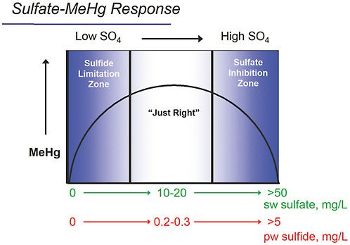 FIGURE 5-15 Conceptual diagram showing the response of methylation of mercury to varying sulfate concentrations. At low concentrations of sulfate, methylation is stimulated; at higher sulfate concentrations, the production of high concentrations of sulfide inhibits methylation.