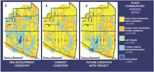 FIGURE 3-3 Average wet season water depths at Picayune Strand under pre-drainage, current, and projected future (with project) conditions.
