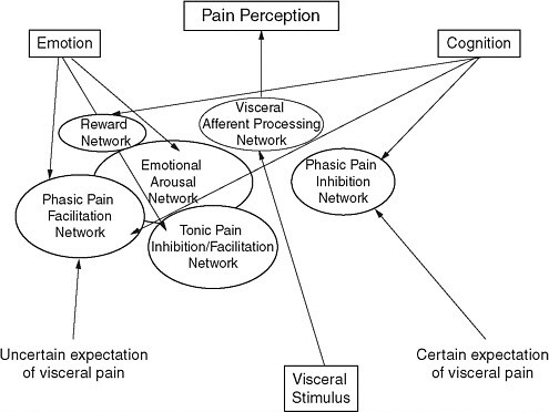 FIGURE 3-1 Pain perception is not a linear pathway from stimulus to pain but is a highly complex, modulated system, and each component potentially could be sex specific.