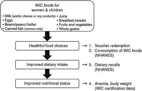FIGURE 6-1 Measures for studying the impact of WIC food packages on women and children. NOTE: NHANES = National Health and Nutrition Examination Survey.