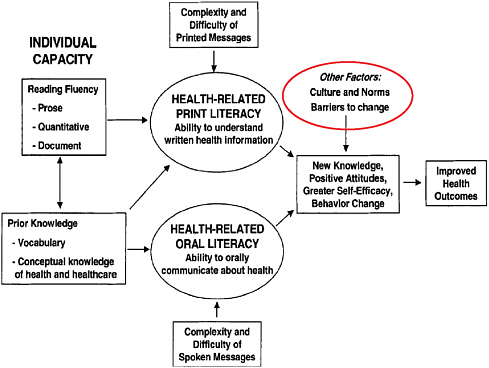 FIGURE 3-1 Conceptual model of health literacy.
