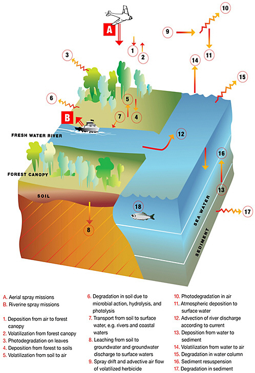 FIGURE 4-1 Environmental fate and transport processes for Agent Orange and TCDD.