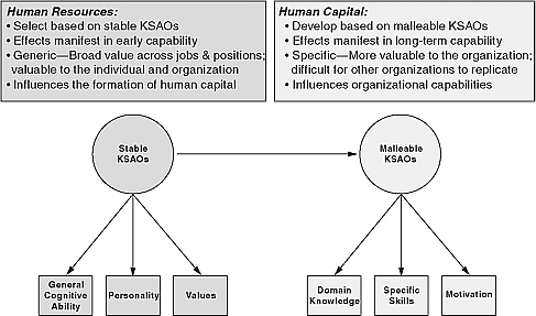 FIGURE 12-1 Knowledge, skills, abilities, and other characteristics (KSAOs): Human resources and human capital.