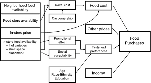 FIGURE 7-3 Food purchases depend on a number of factors in addition to food availability and price.
