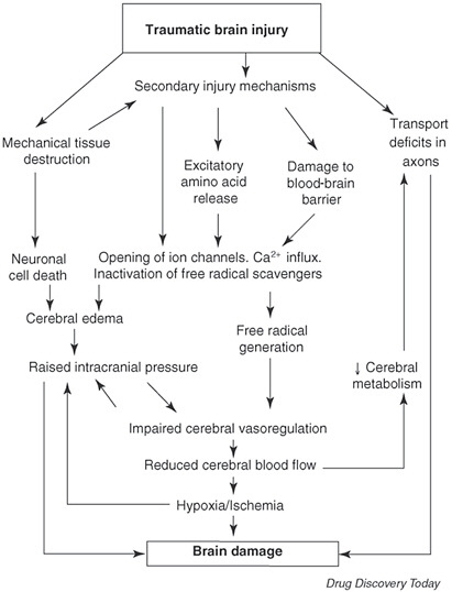 FIGURE 3-3 Cascade of pathophysiological events after traumatic brain injury.