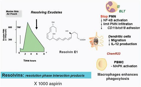 FIGURE C-13 Resolvin E1: Structure and actions. Addition of TNF to murine air pouch leads to rapid infiltration of PMN into the inflammatory exudate. As the PMN levels declined, increased production of resolvin E1 derived from EPA was first identified (Serhan et al., 2000). The complete stereochemistry and the mechanism of action for RvE1 has been established (Arita et al., 2005a, 2007). Resolvins are defined as resolution phase interaction products and proved to be, on a molar basis, log orders more potent than traditional nonsteroidal anti-inflammatory drugs including aspirin.