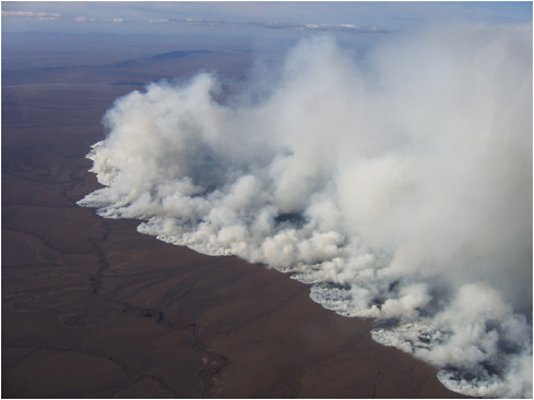 FIGURE 1.4 This is an image of a fire caused by lightning in the summer of 2007 on the North Slope of Alaska. Tundra fires release sequestered carbon into the atmosphere. SOURCE: Bureau of Land Management.