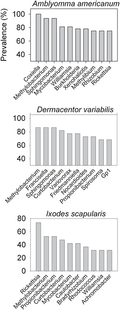 FIGURE A8-4 Density of annotated bacterial sequences in Amblyomma americanum (N=32), Dermacentor variabilis (N=22) and Ixodes scapularis (N=19) based on 454 sequencing. All ticks were collected from various sites in Indiana. The top 10 most abundant sequences are given for each species; other indicates all remaining sequences.