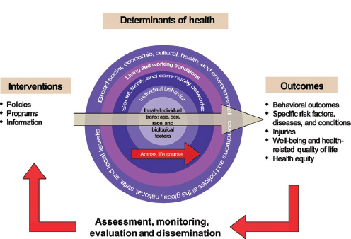 health action model