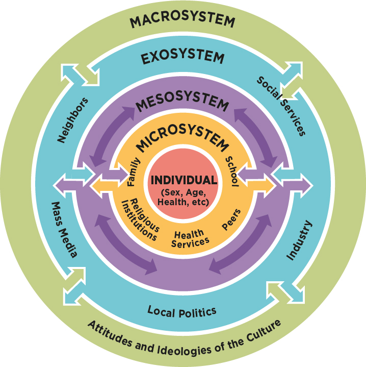 bronfenbrenners ecological model