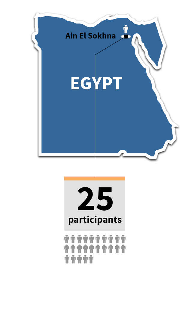 infographic image of Egypt 1. 25 Particpants