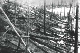 A blast with the force of a 10-megaton bomb flattened trees in the Tunguska region of Siberia in 1908. Scientists think the destroyer came from space, probably a small comet that detonated in midair.