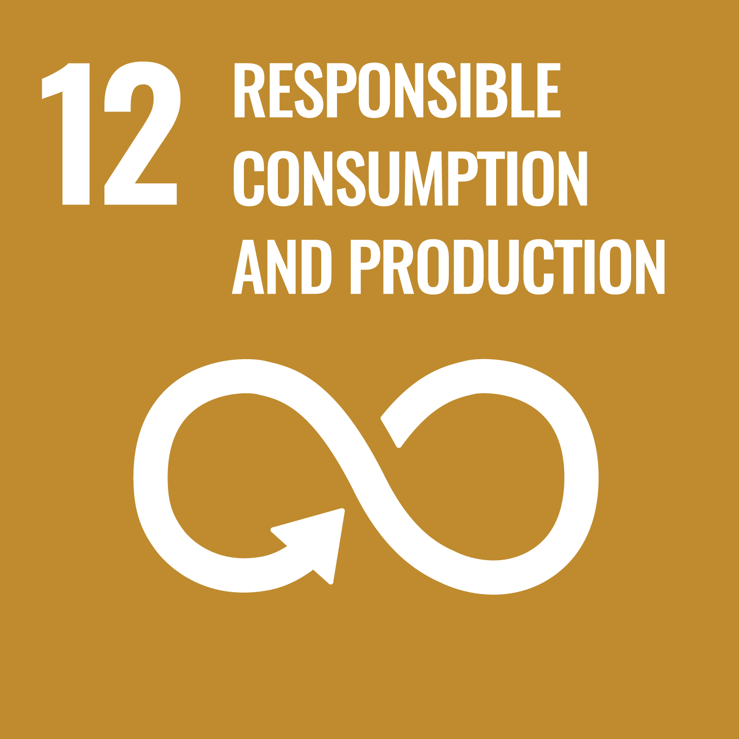 12 - Responsible Consumption